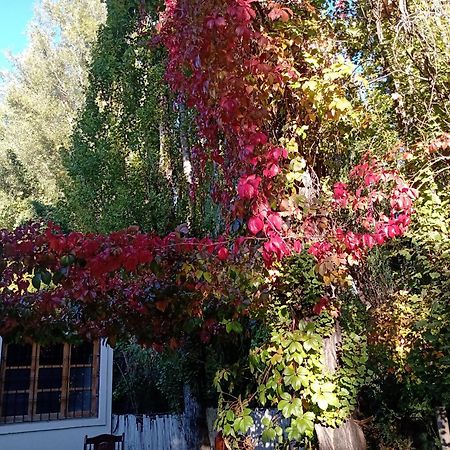 Los Siete Chakras Bed and Breakfast Lujan de Cuyo Εξωτερικό φωτογραφία