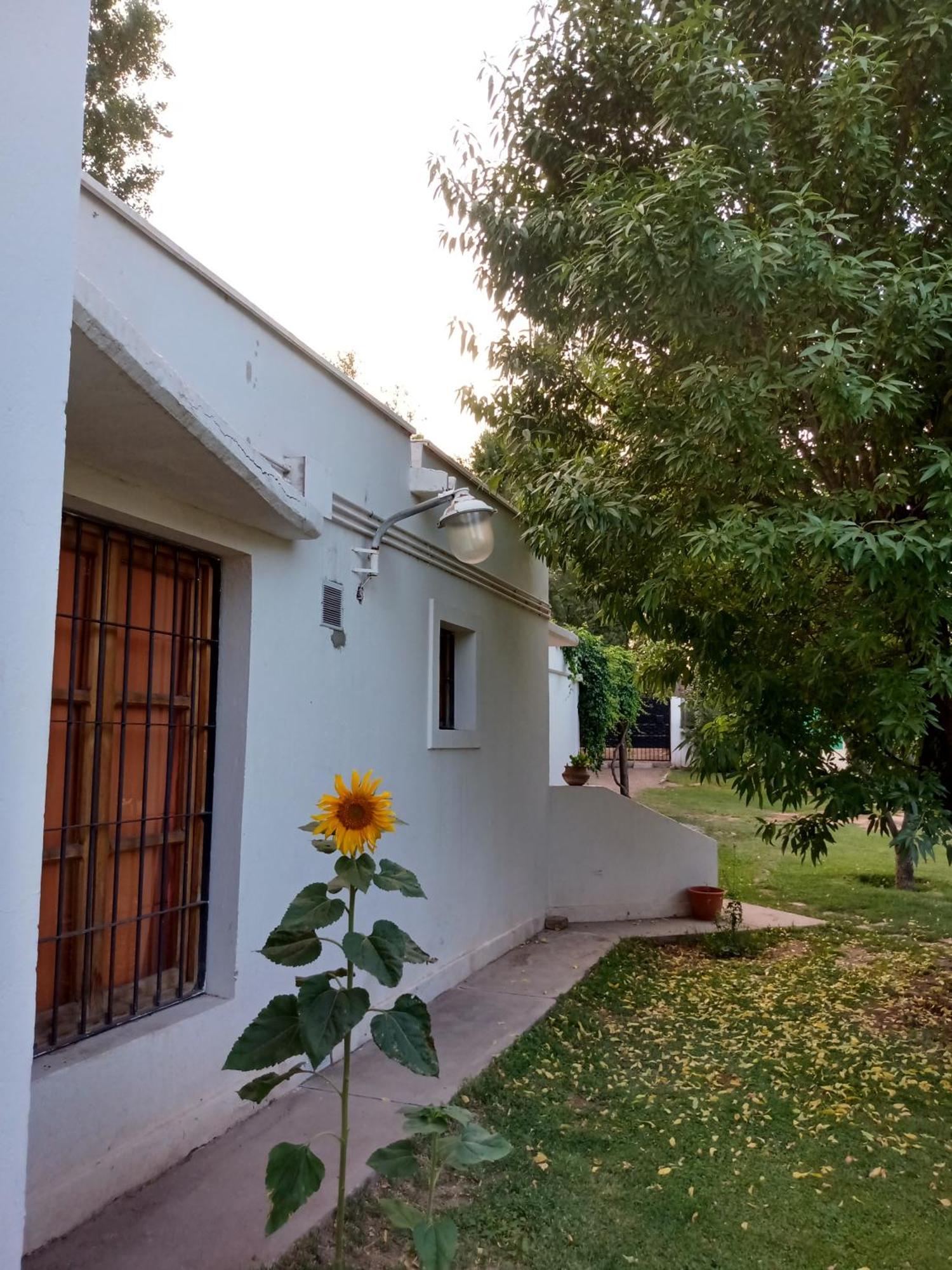 Los Siete Chakras Bed and Breakfast Lujan de Cuyo Εξωτερικό φωτογραφία