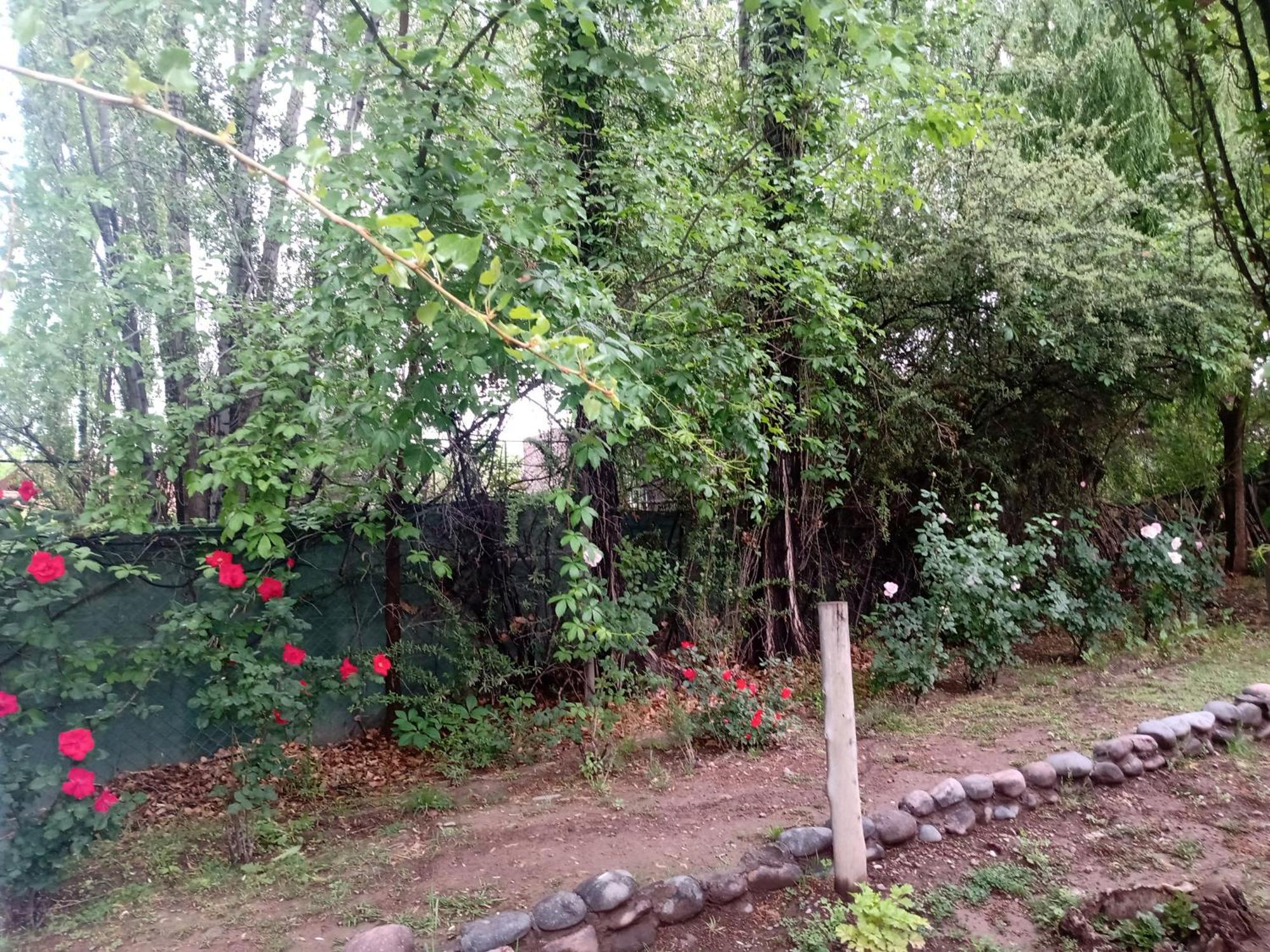 Los Siete Chakras Bed and Breakfast Lujan de Cuyo Εξωτερικό φωτογραφία