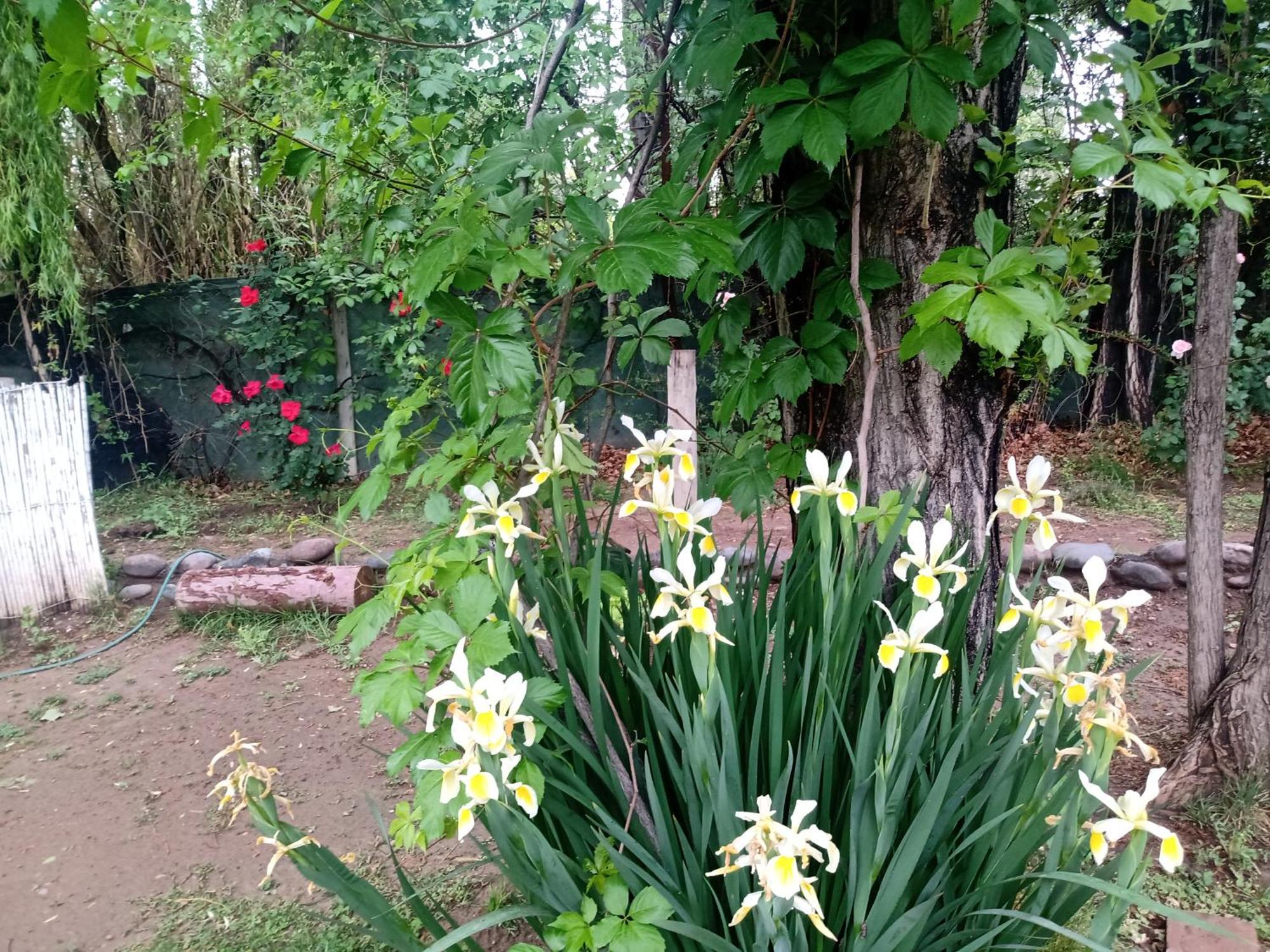Los Siete Chakras Bed and Breakfast Lujan de Cuyo Εξωτερικό φωτογραφία
