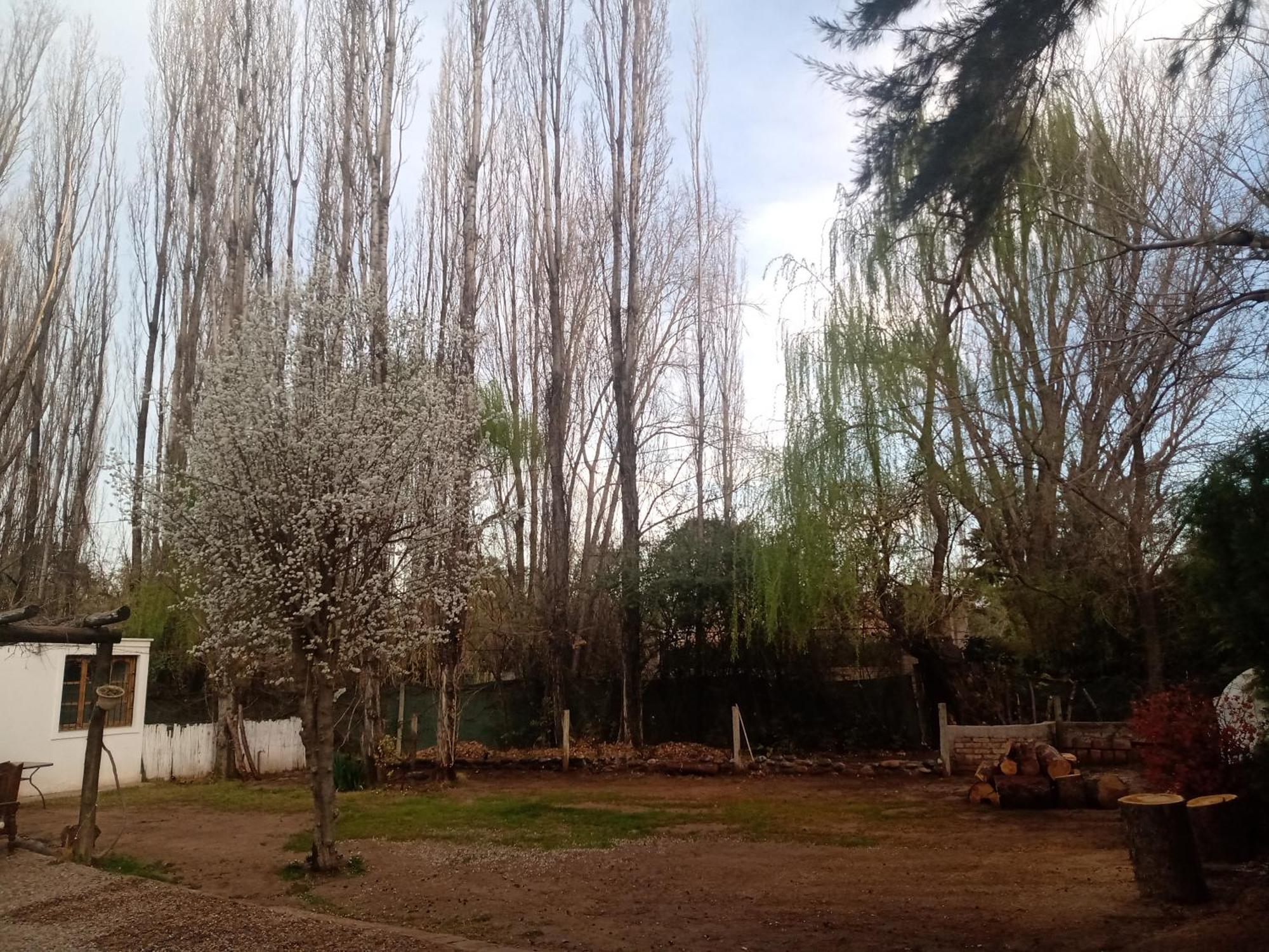 Los Siete Chakras Bed and Breakfast Lujan de Cuyo Εξωτερικό φωτογραφία
