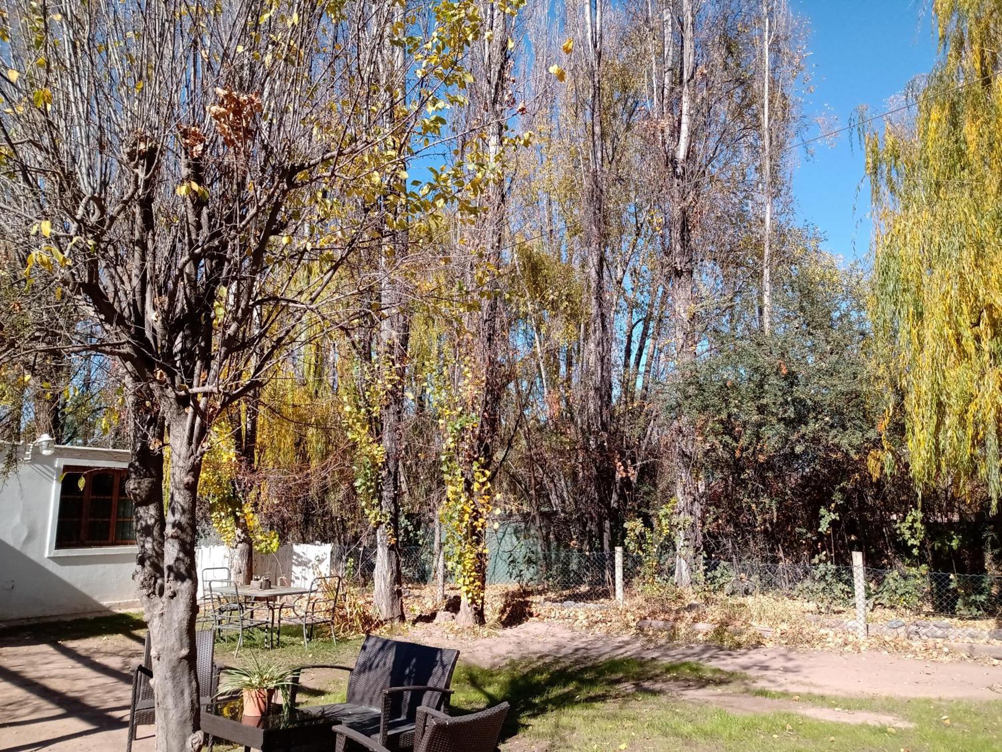 Los Siete Chakras Bed and Breakfast Lujan de Cuyo Εξωτερικό φωτογραφία